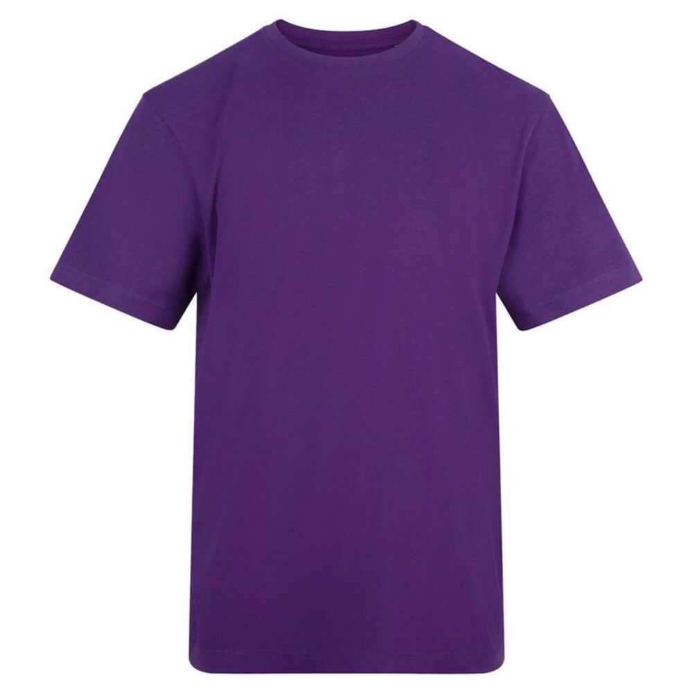 Awdis Unisex Adult Cotton T-Shirt / Purple